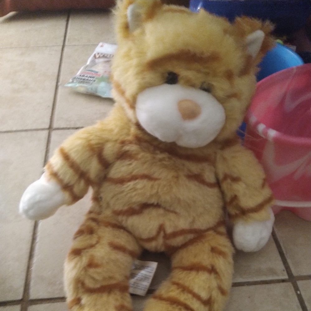 Rare retired tabby cat build a bear